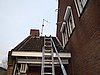 DSC01310.JPG