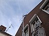 DSC01317.JPG