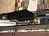 DSC01703.JPG